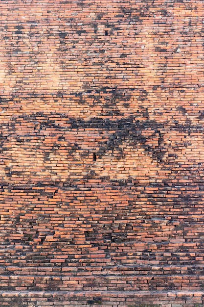 Red brick wall background.