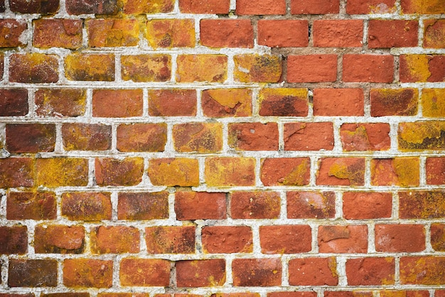 Red brick wall of old house, house exterior, red brick texture, reliable brickwork masonry with bricklayer, bricks and mortar. Aged red brick building construction background