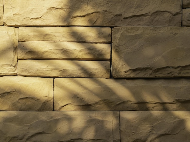 red brick wall and palm leaf shade Sunlight reflects between the wall and the leaves