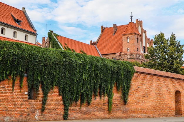 Red brick wall with a plant and medieval buildings of torun poland august