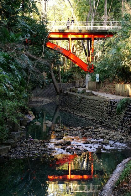 Foto ponte rosso sopra un piccolo fiume