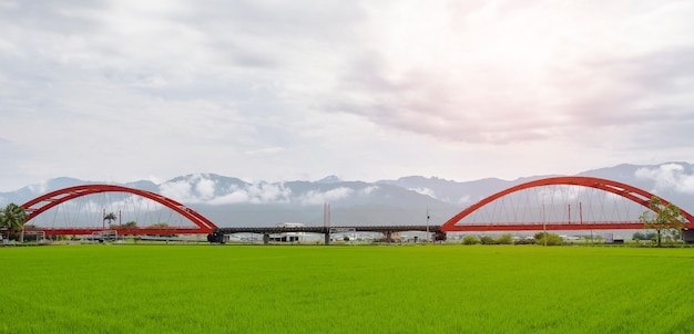 red bridge train a cross field rice at hawaiian taiwan