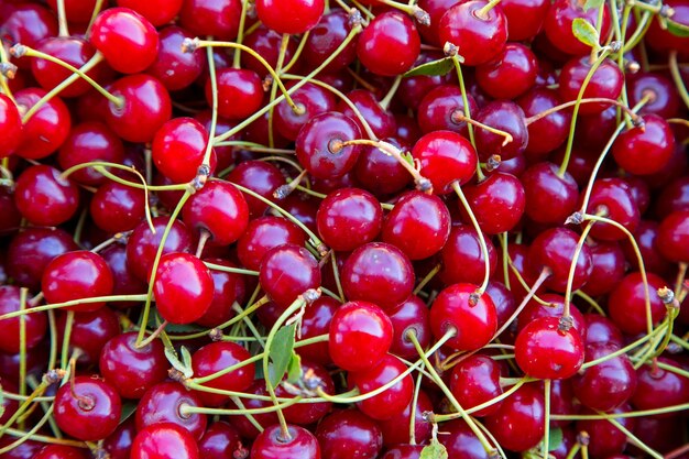 Red bright cherry background