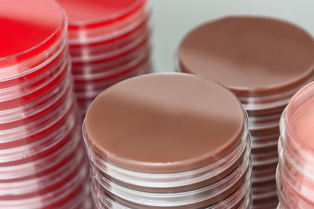 Red and brown petri dishes stacks in microbiology lab focus on stacks