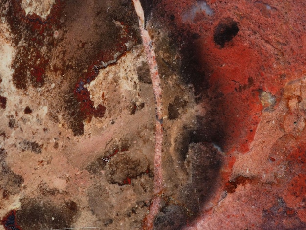 A red and brown rock with a red speck on it.