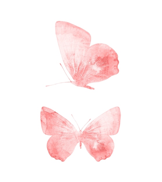 Red butterflies isolated on white background. tropical moths. insects for design. watercolor paints