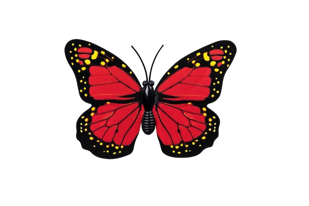 Red butterfly isolated on white background top view Red butterfly with yellow spots as an element for design