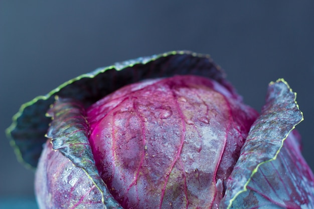 Photo red cabbage. close-up.