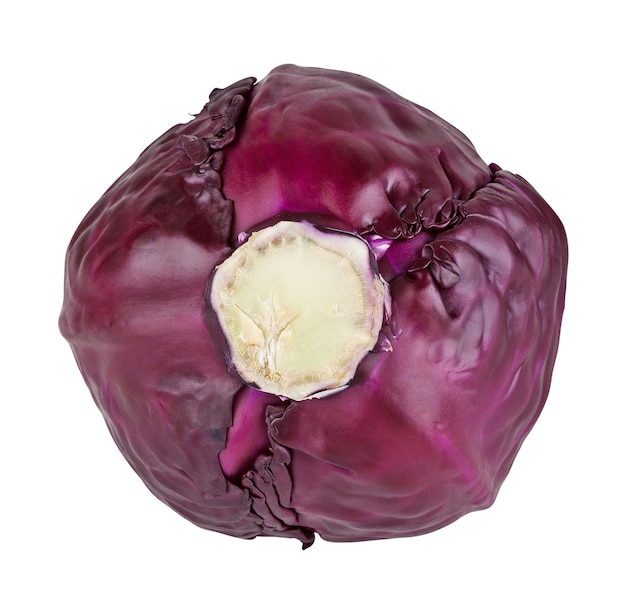 Red cabbage isolated on white background with clipping path