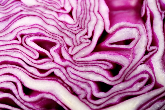 Red cabbage texture