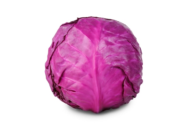 Photo red cabbage