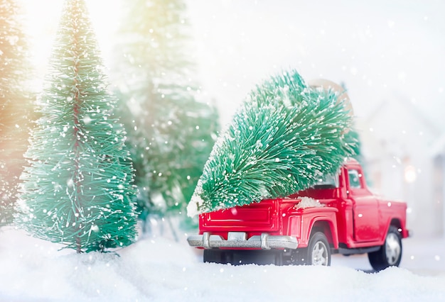숲에서 크리스마스 트리를 운전하는 빨간 자동차