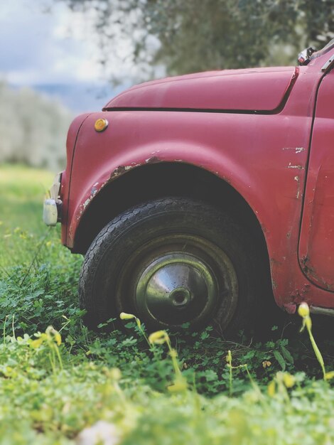 Foto auto rossa sul campo.