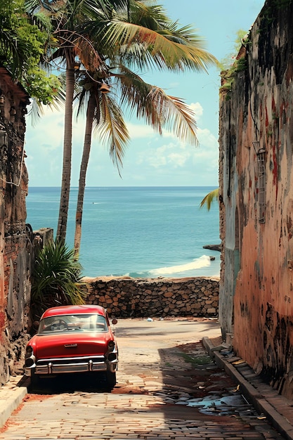 사진 나무와 물로 둘러싸인 바다의 은 골목에 주차 된 빨간 차