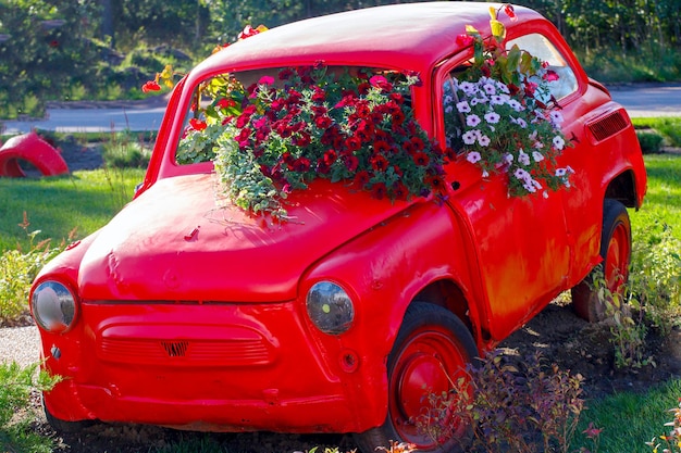 A red car with flowers growing out of it