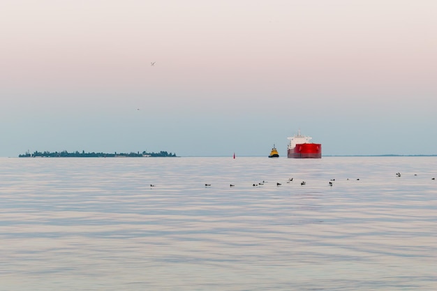 A red cargo ship is sailing on the sea next to the island