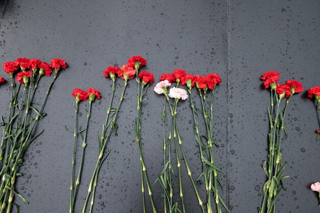 Red carnation flowers are laid on a marble slab in the rain at sunset