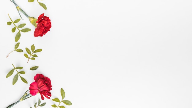 Photo red carnation flowers with leaves on table