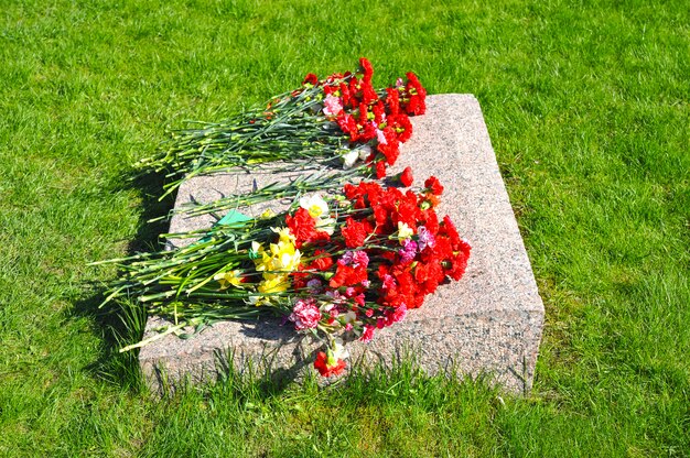 Red carnations at the memorial marble slab