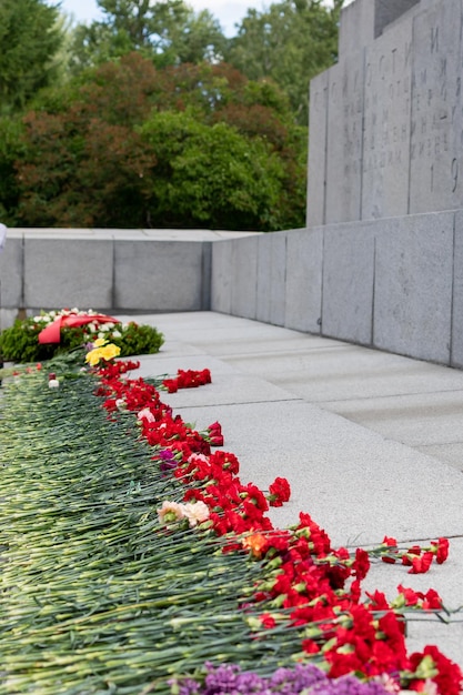 Red carnations were laid in honor of the fallen soldiers at the marble memorial Symbol of victory Selective focusA hand puts red carnations on a granite gravestone Memory of the dead