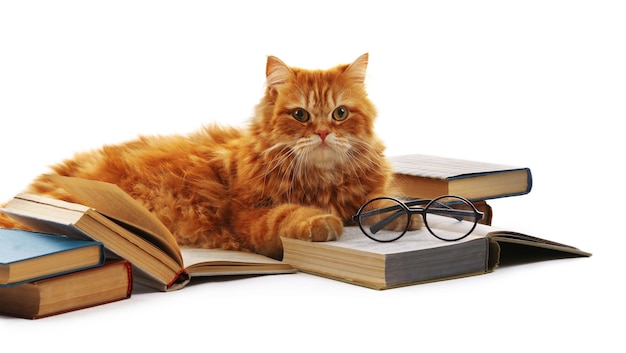 Красная кошка и книги, изолированные на белом