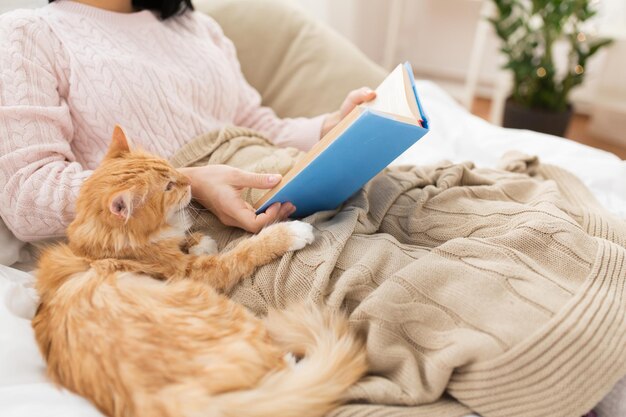 Photo red cat and female owner reading book at home