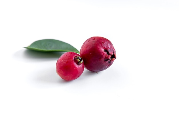 Red Cattley-guavefruit op witte achtergrond Psidium cattleyanum