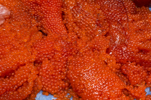 Caviale rosso da vicino. la consistenza del caviale. frutti di mare. mangiare sano. dieta.