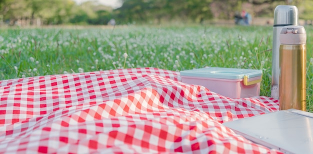 Red checkered tablecloth texture with accessories on green grass at the garden