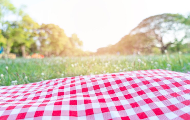Photo red checkered tablecloth texture with on green grass at the garden