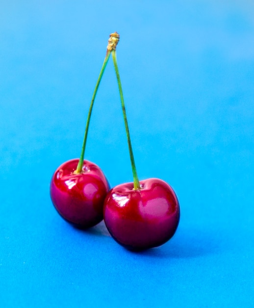 Photo red cherries on a blue background