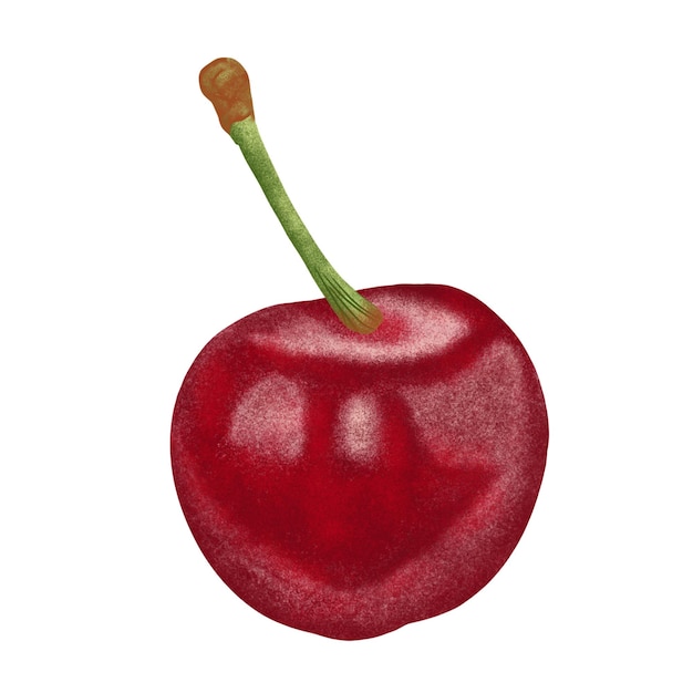 Red Cherries Illustration