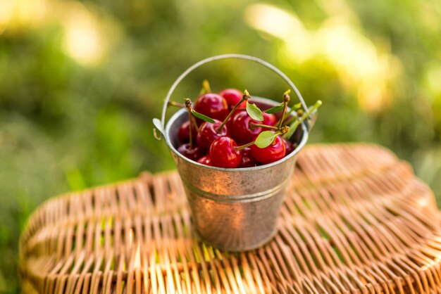 Red cherries in the metal bucket on wooden basket