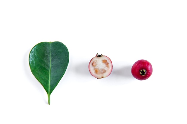 Red Cherry guava fruit and leaves on white background Psidium cattleyanum