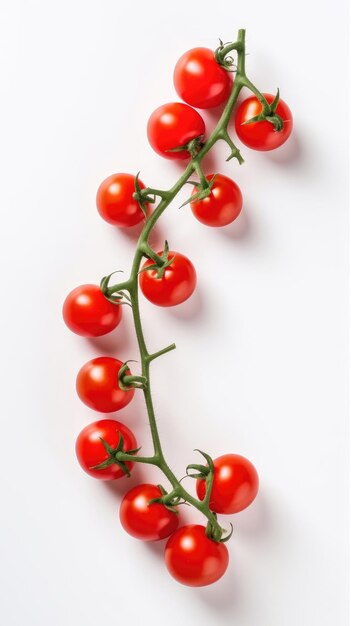 Red cherry tomatoes on a twig