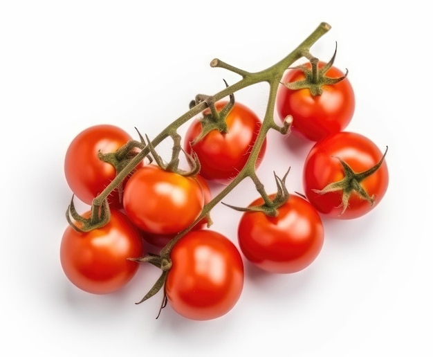 Red cherry tomatoes on a twig