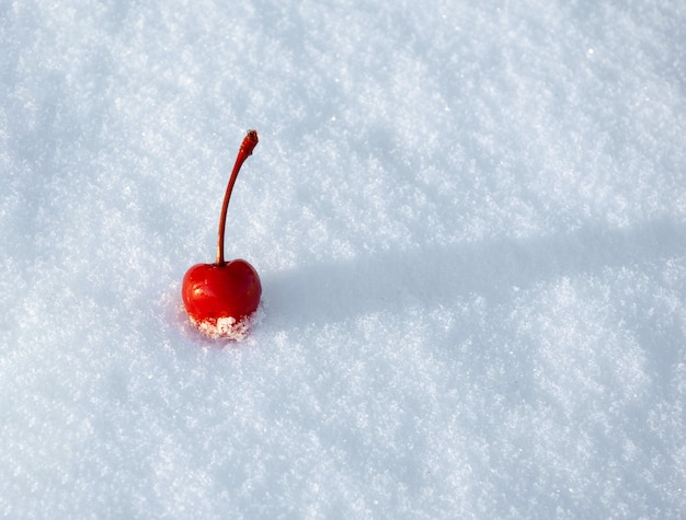 Ciliegia rossa