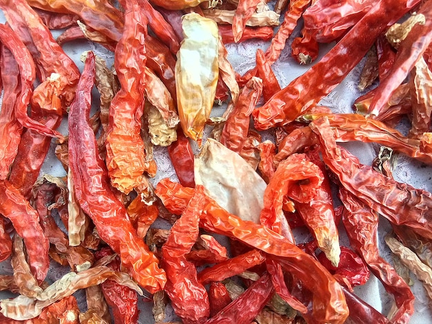 Red chili dry in sunlight