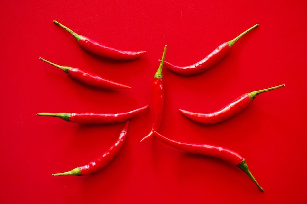 Foto peperoncino rosso sulla forcella di legno su sfondo rosso