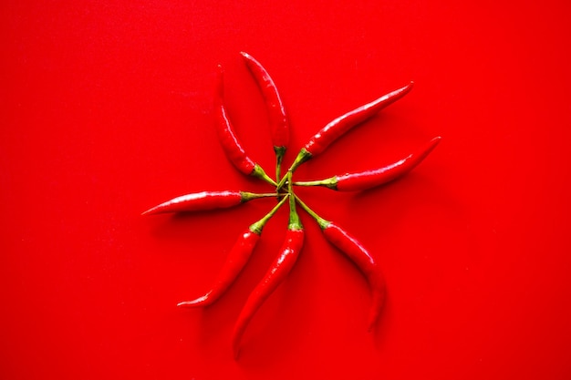 Foto peperoncino rosso sulla forcella di legno su sfondo rosso