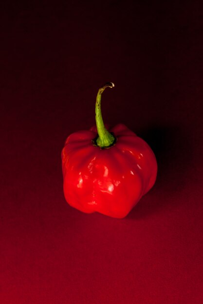 Red chili pepper