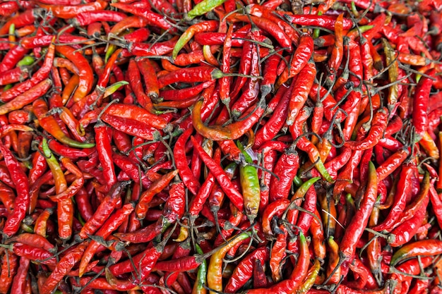 Peperoncino rosso