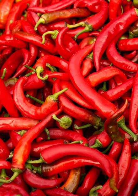 Red chili peppers as background