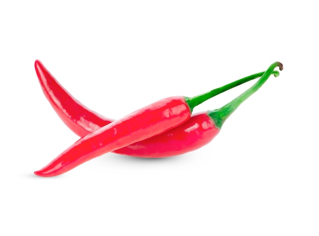 Red chili on white