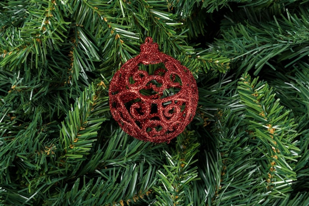 Red Christmas ball isolated on christmas tree branches.