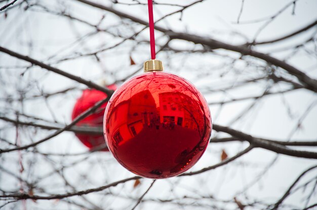 Red christmas ball