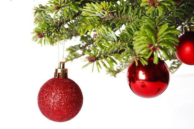 Red Christmas balls hanging on fir tree branch against white background