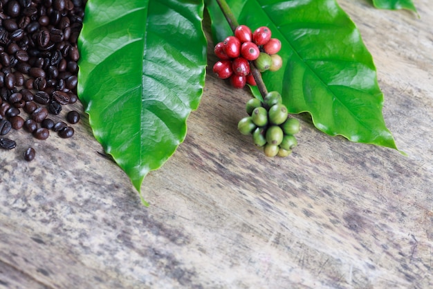 Photo red coffee beans with leaves