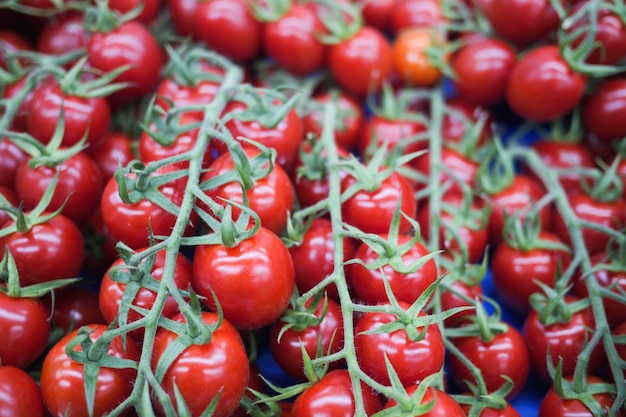 Red color small tomato on table