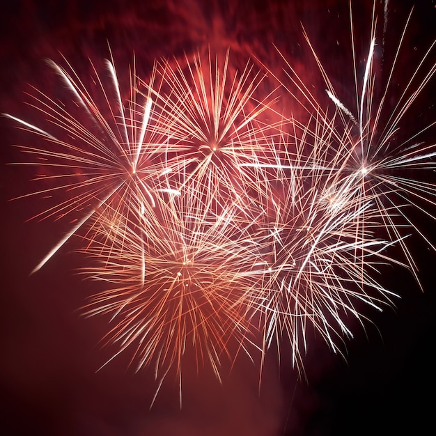 Red colorful fireworks on the black sky background.